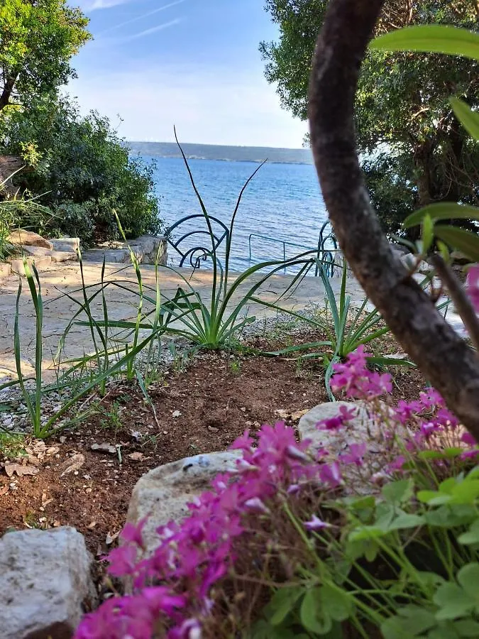 度假居 Beach House Suzi 珀塞达耶 克罗地亚